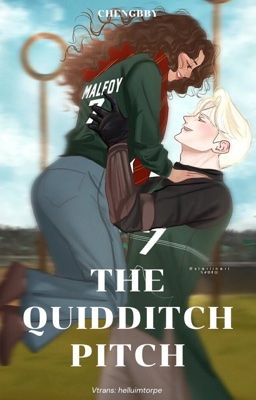The Quidditch Pitch | Dramione Transfic